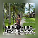 댕이 데이 | 보홀 오셔니카 리조트 디럭스 가든뷰 수영장 비치 데이유즈 조식