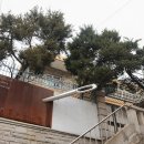 바느질땀