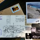 하모리-31 이미지