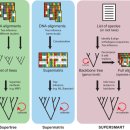 대규모 염기서열 데이터 시대의 박테리아 분류와 명명법.. 2021 네이처!! 이미지