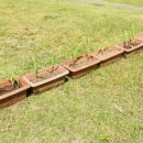 양지1어린이집 이미지