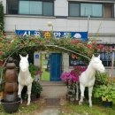 시골손만두 - 남양주시 진건우회로120번길 14 | 시골손만두
