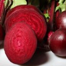 비트 효능 재배방법 이미지