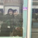 허궁다리 | 야무진.. 리무진..