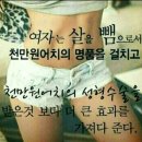 바비점핑다이어트
