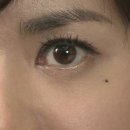 복땡이 이미지