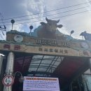세화축산 이미지