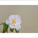 날마다잔치 이미지