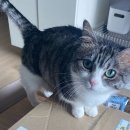 뤼미에르 에스테틱 이미지