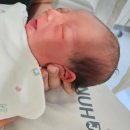 제일말전문병원 | (일상) 서울대병원 출산 후기 안전, 전문, 감동, 세 단어로 설명되는 이유