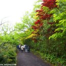 한라수목원 이미지