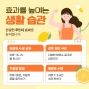 비타민투어