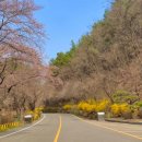 한터치과의원 이미지