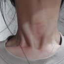 서운로 216 이미지