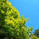 판암동171 | 대전용한점집 설화아씨 덕분에 떼일뻔했던 돈, 돌려받음