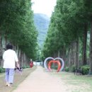 치유, 명상의 숲 이미지