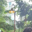 대창고등학교 이미지