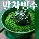 녹화 | + 남양주 북한강이 보이는 말차 전문 카페 _ 녹화 솔직 후기! (f, 신랑이랑)
