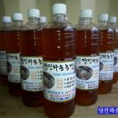 김성기농장 이미지