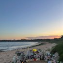 코in제주 이미지