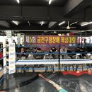 팀와일드울프 - 광명시 금하로 464 | 팀와일드울프