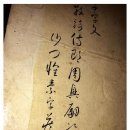 외초천 Daum카페