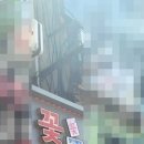 공단꽃할인매장