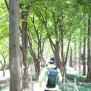 도두리공원 이미지