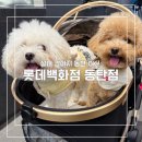 애견백화점 동탄점 | 강아지 동반 롯데백화점 동탄점 방문기 │ 펫모차 꿀팁 &amp; 후기