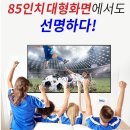 코리아당구장 | 2026 월드컵 JTBC · KBS 중계 대비! 브리사 지상파 TV 안테나 추천
