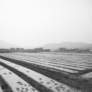 병산경로당 이미지