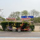 상어지 수변공원 이미지