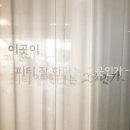 저스트인 피티 이미지