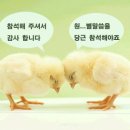 보람당구장 - 용인시 기흥구 신정로33번길 3 | 보람당구장