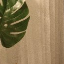 (주) 브레인워시 이미지