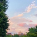 In my oven(인마이오븐)