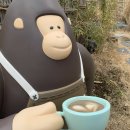 육지구 | [울릉도 카페] 사진찍기 좋은 경치 전망 카페, 카페 울라 CAFE ULLA