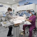 서울동물복지지원센터 동대문 동물병원 이미지