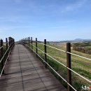 한우목장 - 달서구 진천동 | 한우목장
