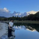 포레드노드 이미지