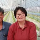 김순옥농장 이미지