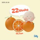 돈키호테 분식나라 | 임신 22주차 일기 - 생일 주간 + 일본 태교여행(1)