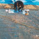 공룡 발자국화석지 이미지