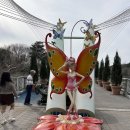 버드랜드 | 오월드 버드랜드 플라워랜드 후기 펭귄·앵무새 체험까지 직접 다녀온 솔직 리뷰