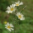 기쁨농장 이미지