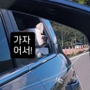 5901 | 나의3번째 캠핑: 사천5901 캠핑장 후기