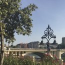 1281 | 스페인 세비야 여행코스 세비야 대성당 스페인광장