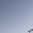 젠틀리하우스 이미지