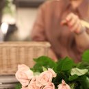 플라워 엘라 이미지