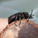 충주자연생태체험관 이미지